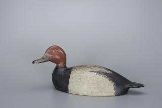 Appraisal: Rare Turned-Head Redhead Drake Markham Ontario Canada c in long