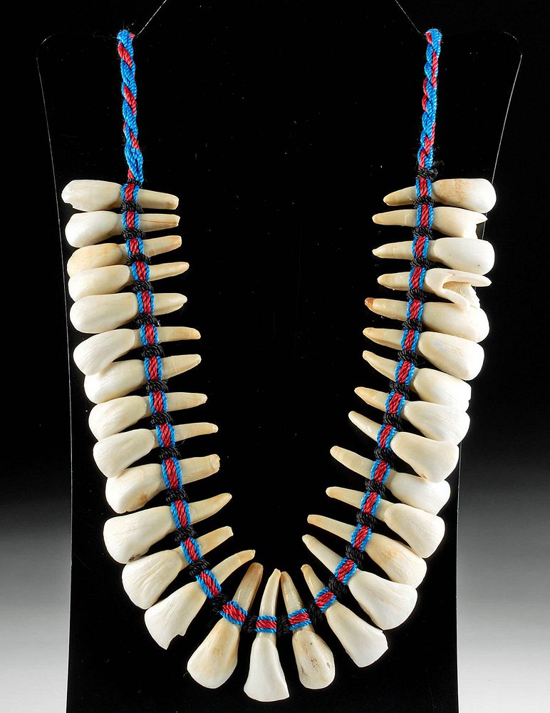 Appraisal: th C Native American Cord Necklace w Buffalo Teeth Native