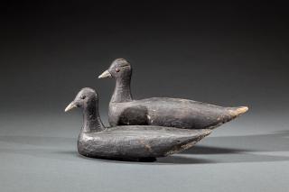 Appraisal: Coot Pair New Orleans LA c Two tack-eyed decoys with