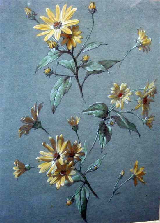 Appraisal: Antoine Berjon - pastel Study of flowers x in Estimate