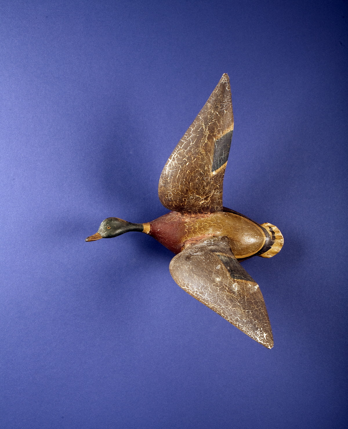 Appraisal: CARVED AND PAINTED DECORATIVE FLYING MALLARD DRAKE ATTRIBUTED TO IRA