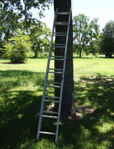 Appraisal: Aluminum ' Extension Ladder The ladder has sections and extends