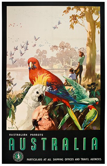 Appraisal: JAMES NORTHFIELD - AUSTRALIAN PARROTS AUSTRALIA Circa x inches x