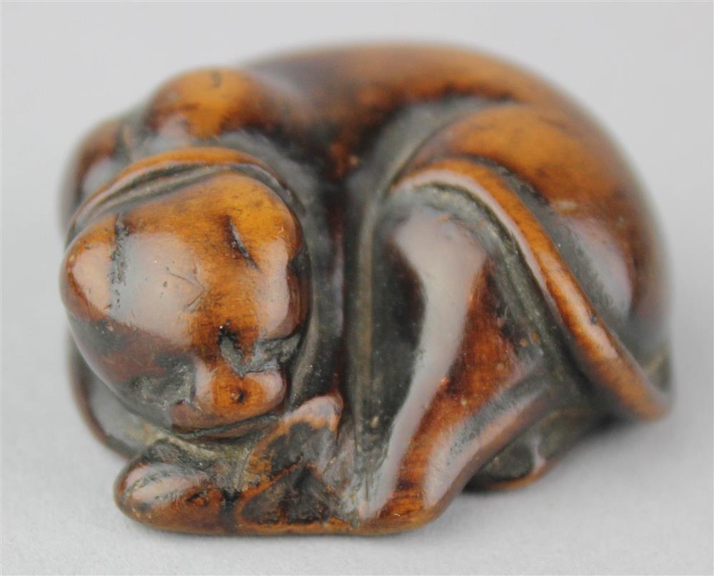 Appraisal: WOOD NETSUKE OF A CURLED UP DOG NAPPING TH CENTURY