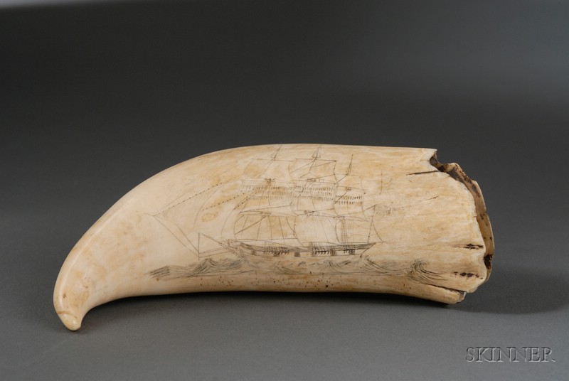 Appraisal: Engraved Sperm Whale's Tooth mid- th century engraved on the