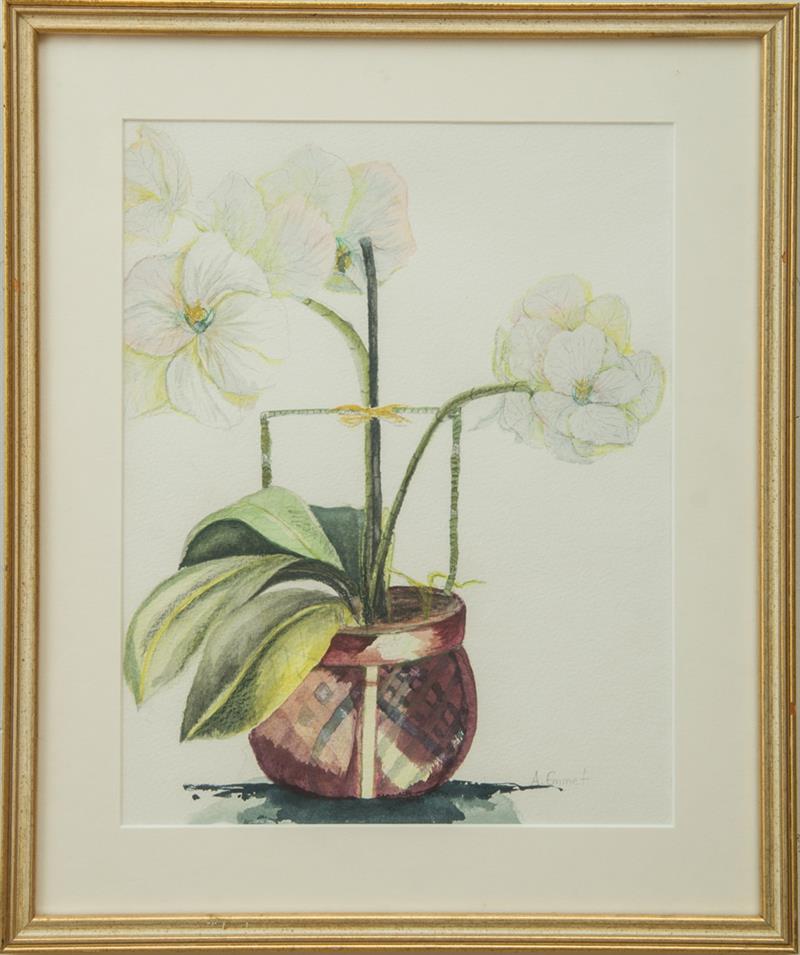 Appraisal: TH CENTURY SCHOOL WHITE AMARYLLIS Watercolor on paper signed 'A