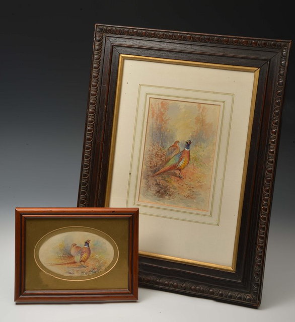 Appraisal: A SMALL WATERCOLOUR OF A PAIR OF PHEASANTS probably Stinton