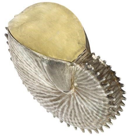 Appraisal: Sterling silver nautilus-form vessel likely a spoon warmer Janna Thomas