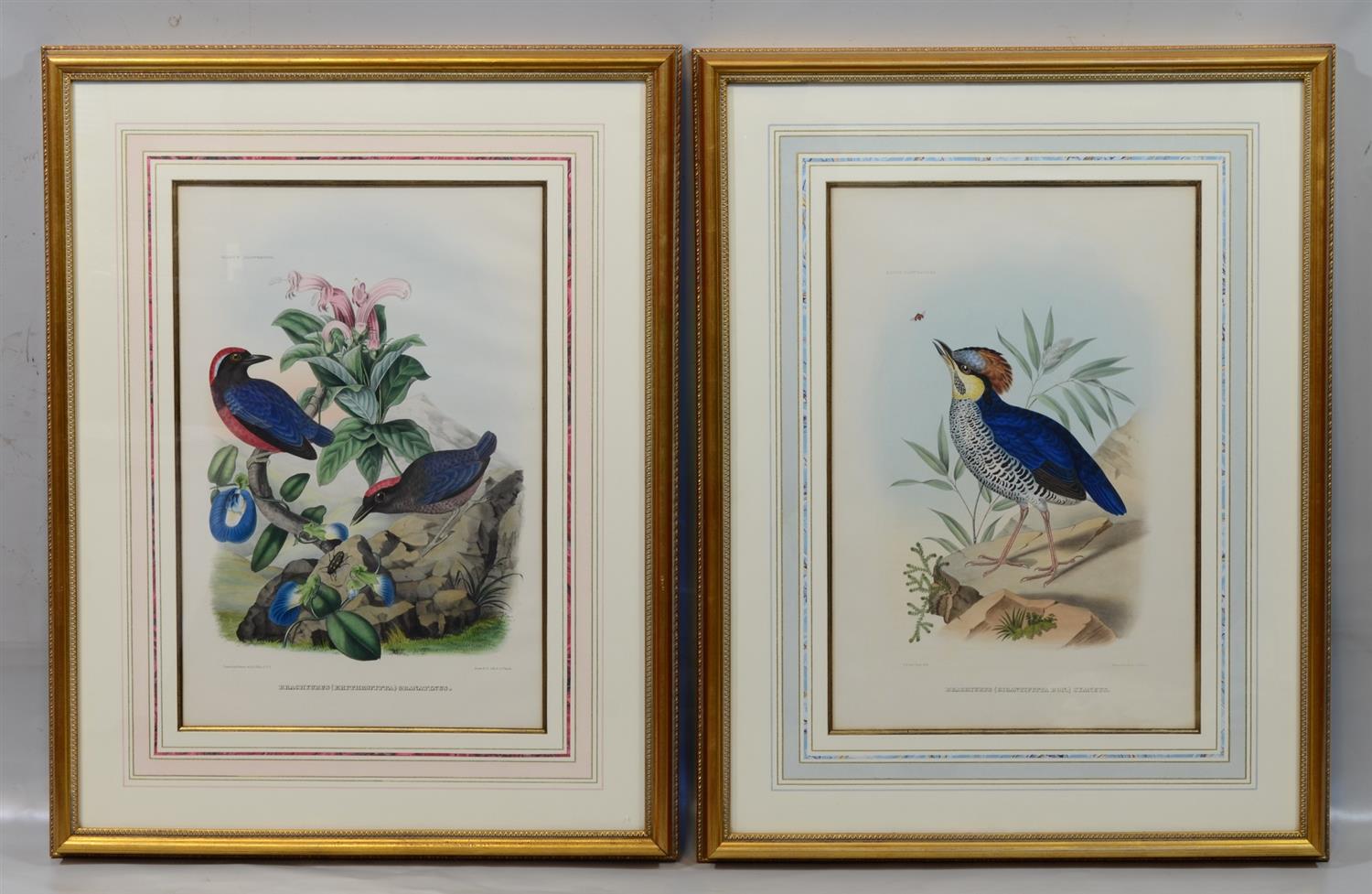 Appraisal: Pair of after Paul Oudart French - hand colored lithograph