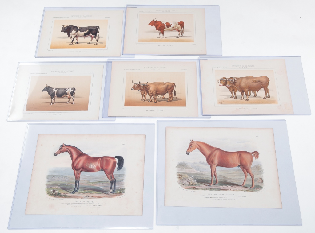 Appraisal: SEVEN HORSE AND CATTLE PRINTS Mid th century hand colored