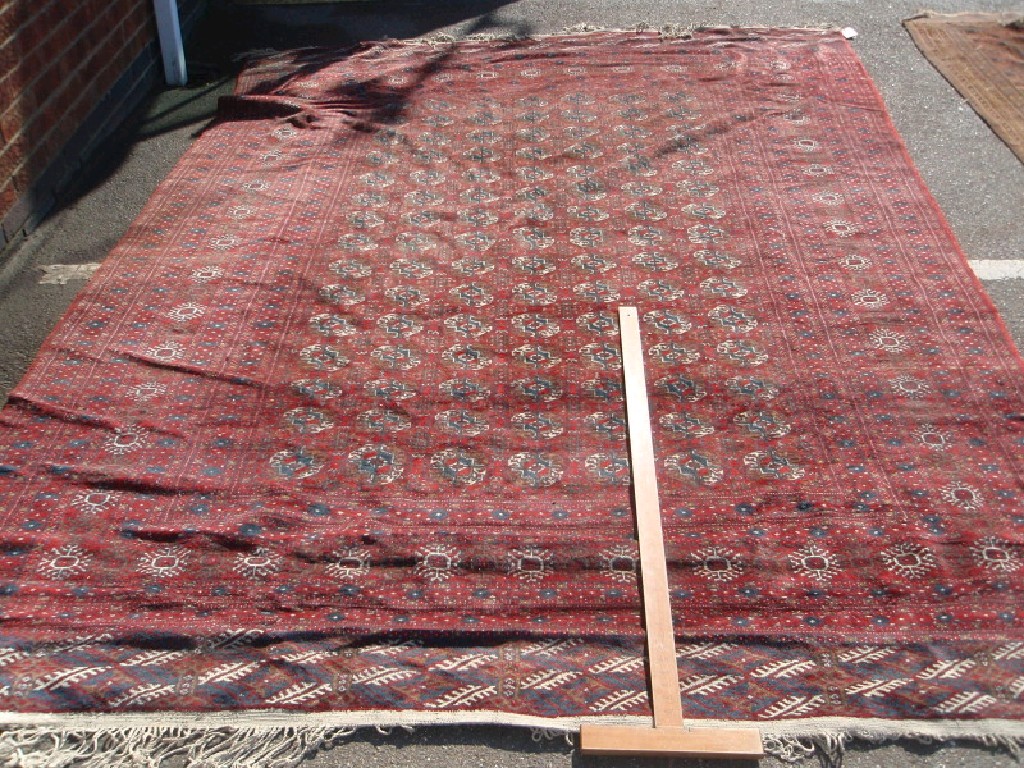 Appraisal: A red ground Bokhara and multi-gul and bordered carpet cm