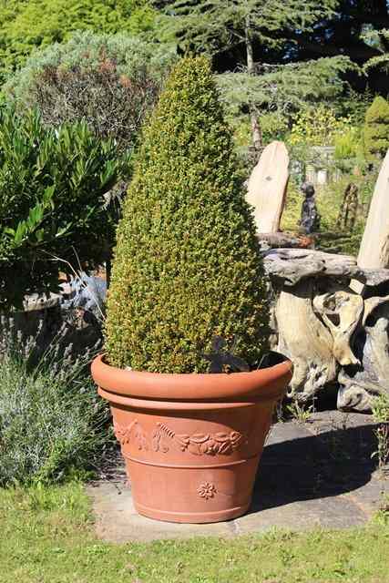 Appraisal: A LARGE PAIR OF TERRACOTTA PLANT POTS approximately diameter each