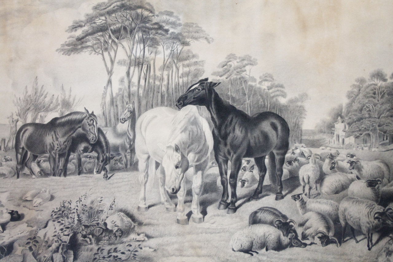 Appraisal: Horses sheep and birds in a naturalistic environment thC engraving