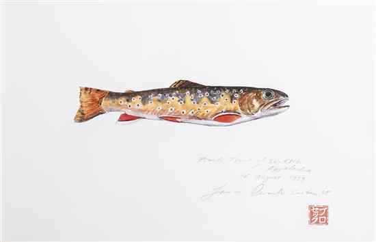 Appraisal: James Perach American th century Brook Trout of Southern Appalachian