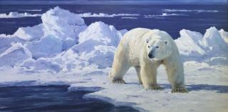 Appraisal: Polar Ice Pack by Ken Carlson Ken Carlson - oil