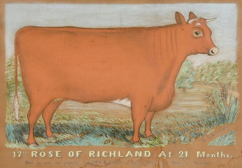 Appraisal: Prize Cow Ptg Rose of Richland TN th century Folk