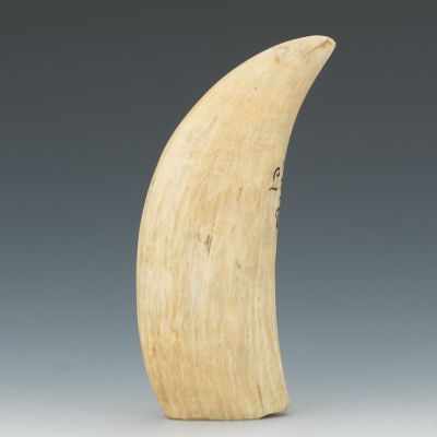 Appraisal: A Scrimshaw with Swedish Inscription Whale tooth with scrimshaw inscription