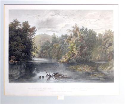 Appraisal: piece Hand-Colored Engraving Bodmer Karl Forest Scene on the Lehigh