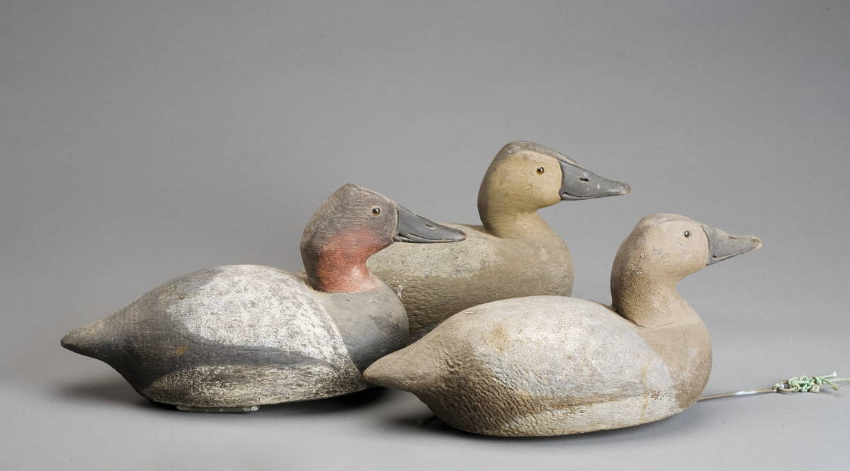 Appraisal: THREE CARVED AND PAINTED CANVASBACK DECOYS PROBABLY CANADIAN CIRCA Including