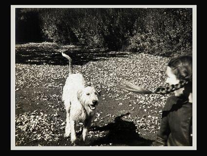 Appraisal: EDWARD STEICHEN - GIRL DOG Photograph x in dated on