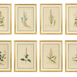 Appraisal: A Set of Eight Gilt Framed Hand Colored Botanical Etchings