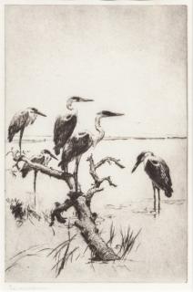 Appraisal: Frank W Benson - Herons at Rest signed Frank W