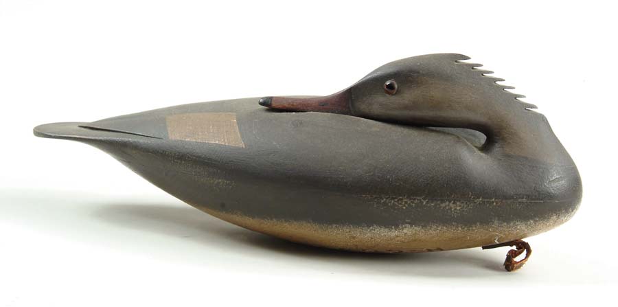 Appraisal: EARLY CONKLIN SLEEPING MERGANSER DECOY Conklin a renowned carver from