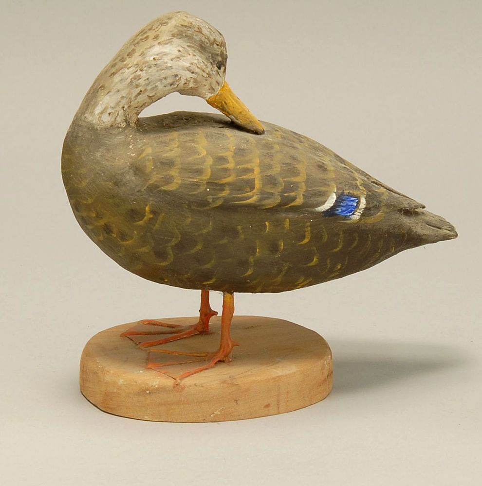 Appraisal: QUARTER-SIZE PREENING BLACK DUCK By Peter Peltz of Sandwich Massachusetts