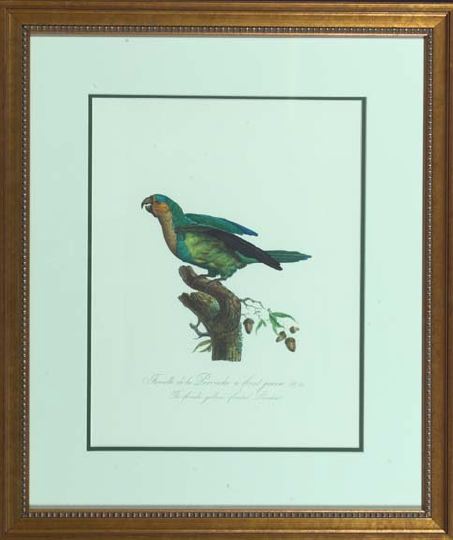 Appraisal: French School th Century Parrots suite of ten limited edition