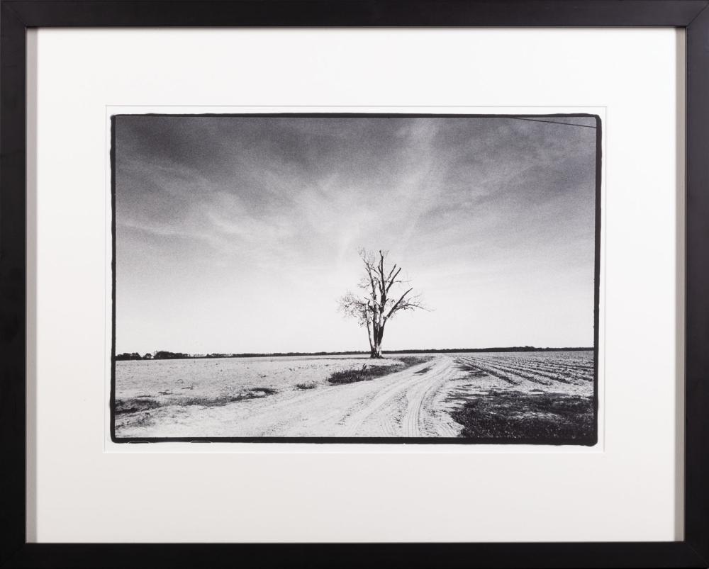 Appraisal: Jessica Lange American Minnesota b Mississippi gelatin silver photograph pencil-signed