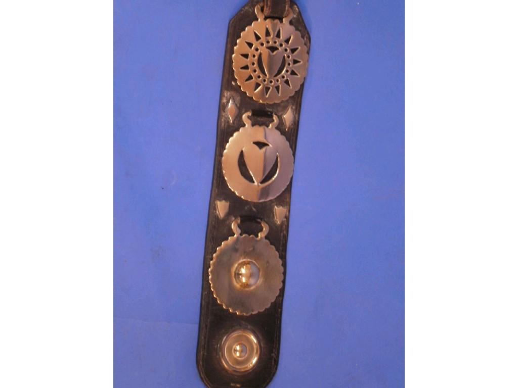 Appraisal: A four brass martingale