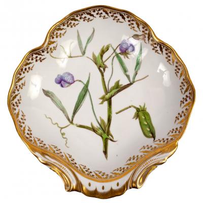 Appraisal: A Derby botanical shell-shaped dessert dish circa painted with sweet