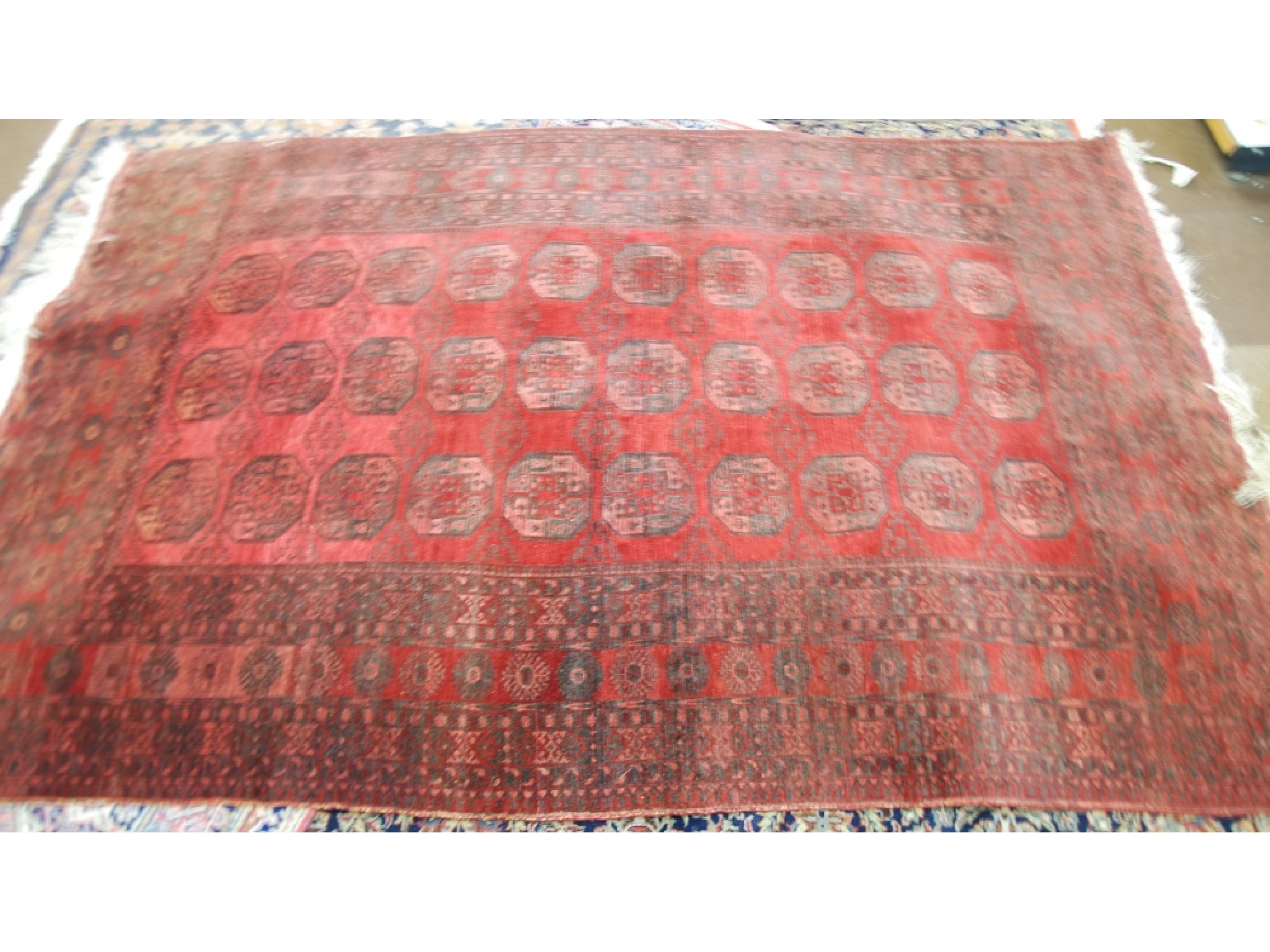 Appraisal: TURKOMAN CARPET with three rows of Taghan guls on a