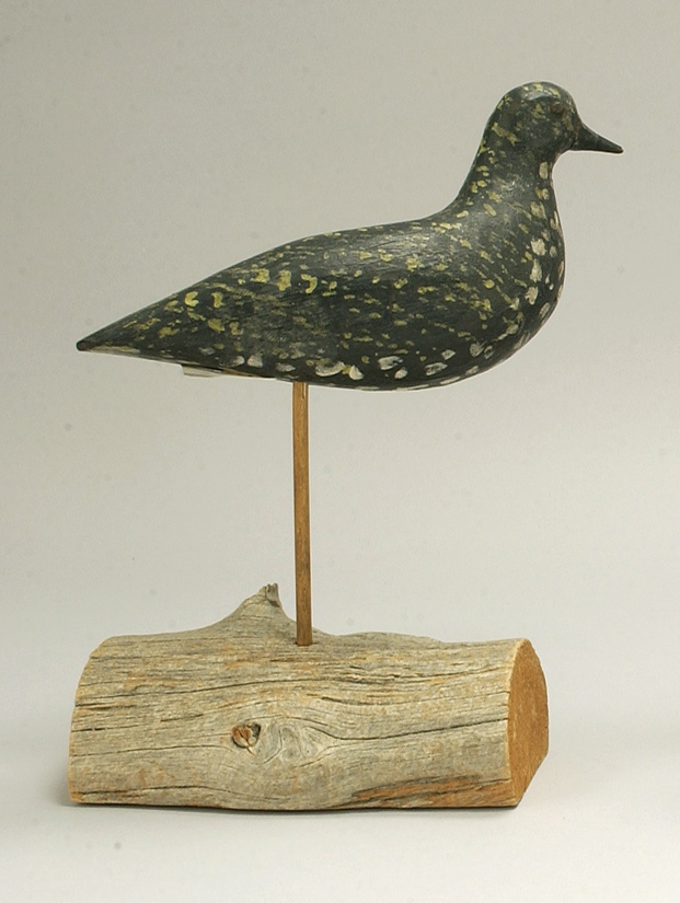 Appraisal: GOLDEN PLOVER DECOY From Nantucket Tack eyes Original paint Minor