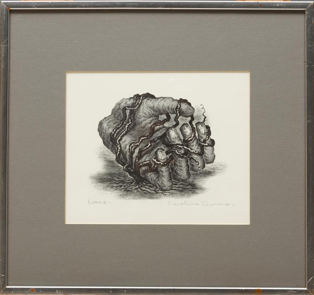 Appraisal: Caroline Wogan Durieux American Louisiana - Liane lithograph pencil-signed lower