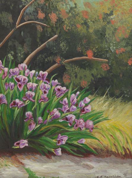 Appraisal: ALI MASALEHDAN IRANIAN AMERICAN CONTEMPORARY x Irises Mellon Park Oil