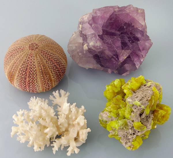 Appraisal: Without Reserve A varied collection of mineral specimens and coral