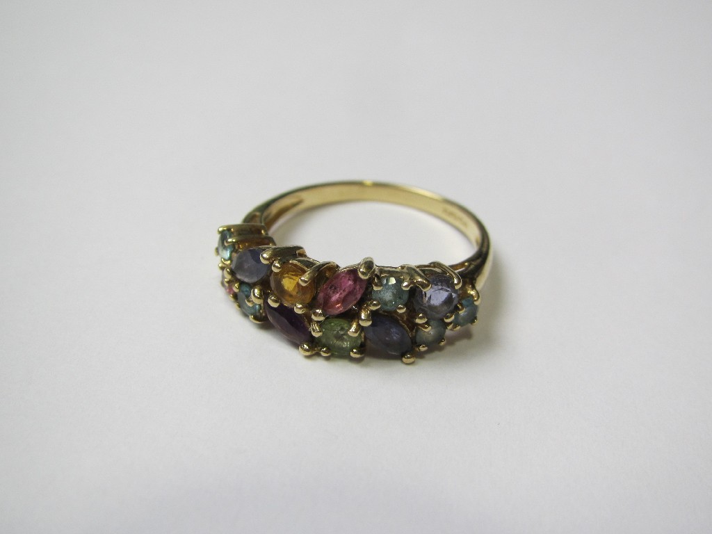 Appraisal: Nine carat gold multi gem set dress ring