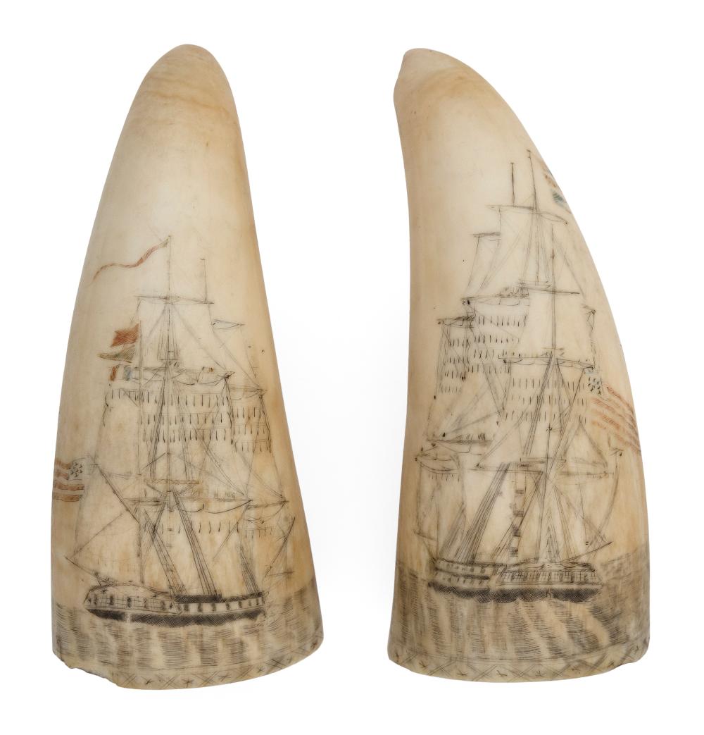 Appraisal: PAIR OF POLYCHROME SCRIMSHAW WHALE'S TEETH DEPICTING FRIGATES CIRCA LENGTHS