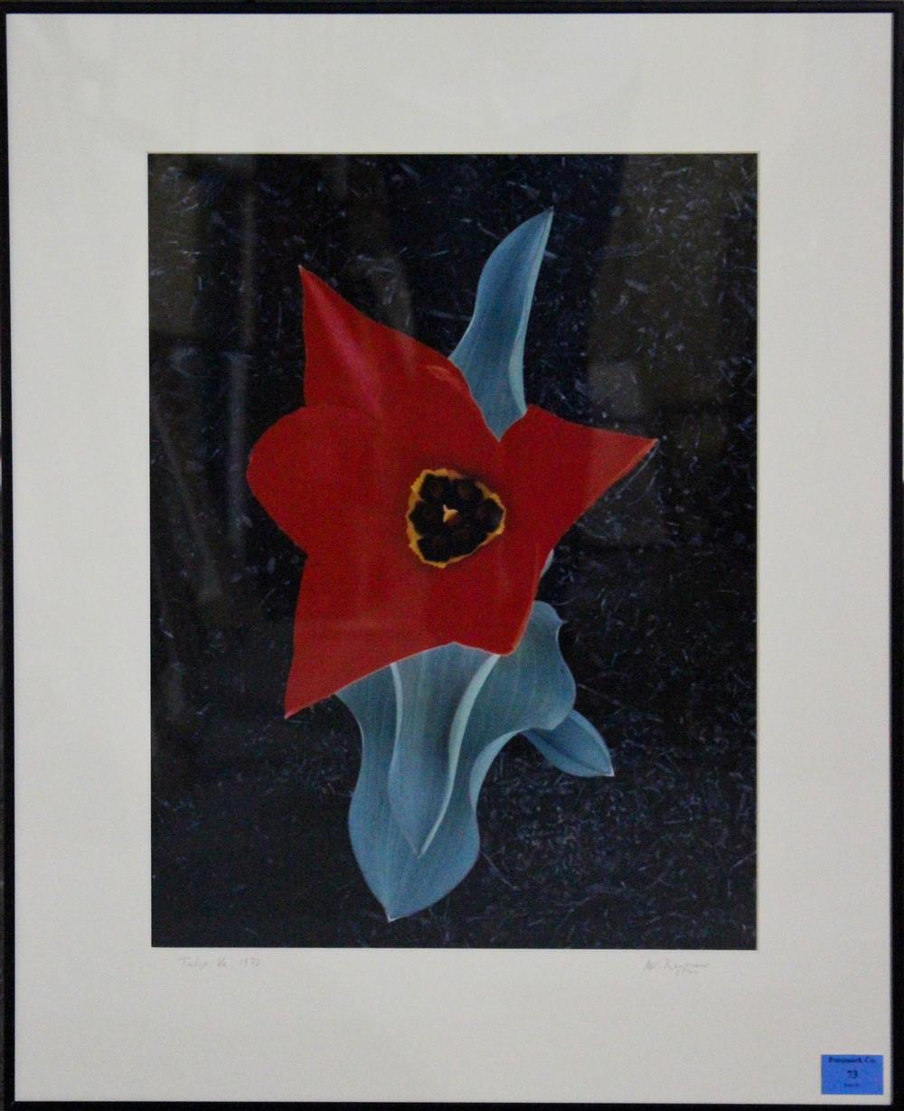 Appraisal: WARREN KRUPSAW TULIP Photograph x in sight Framed lower left