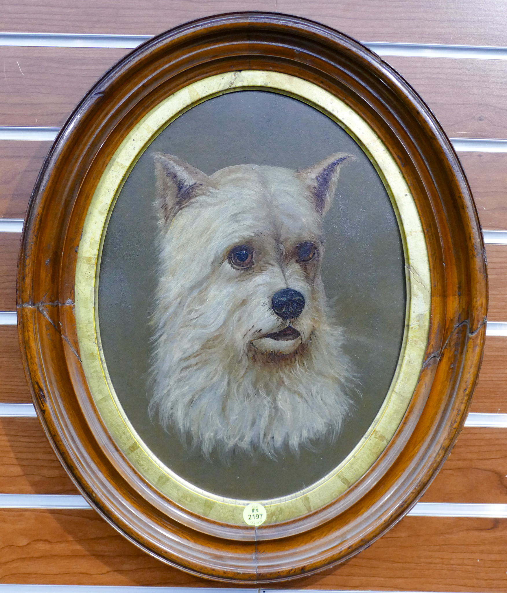 Appraisal: Victorian Oval Dog Portrait Oil on Canvas Framed- x ''