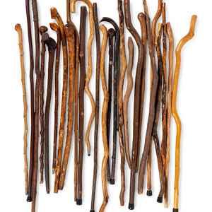 Appraisal: A Large Collection of Naturalistic Canes and Walking Sticks th