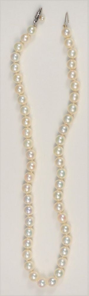 Appraisal: Single Strand of Pearls with karat white gold clasp set