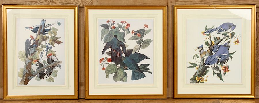 Appraisal: A COLLECTION OF THREE ORNITHOLOGICAL PRINTS A collection of three