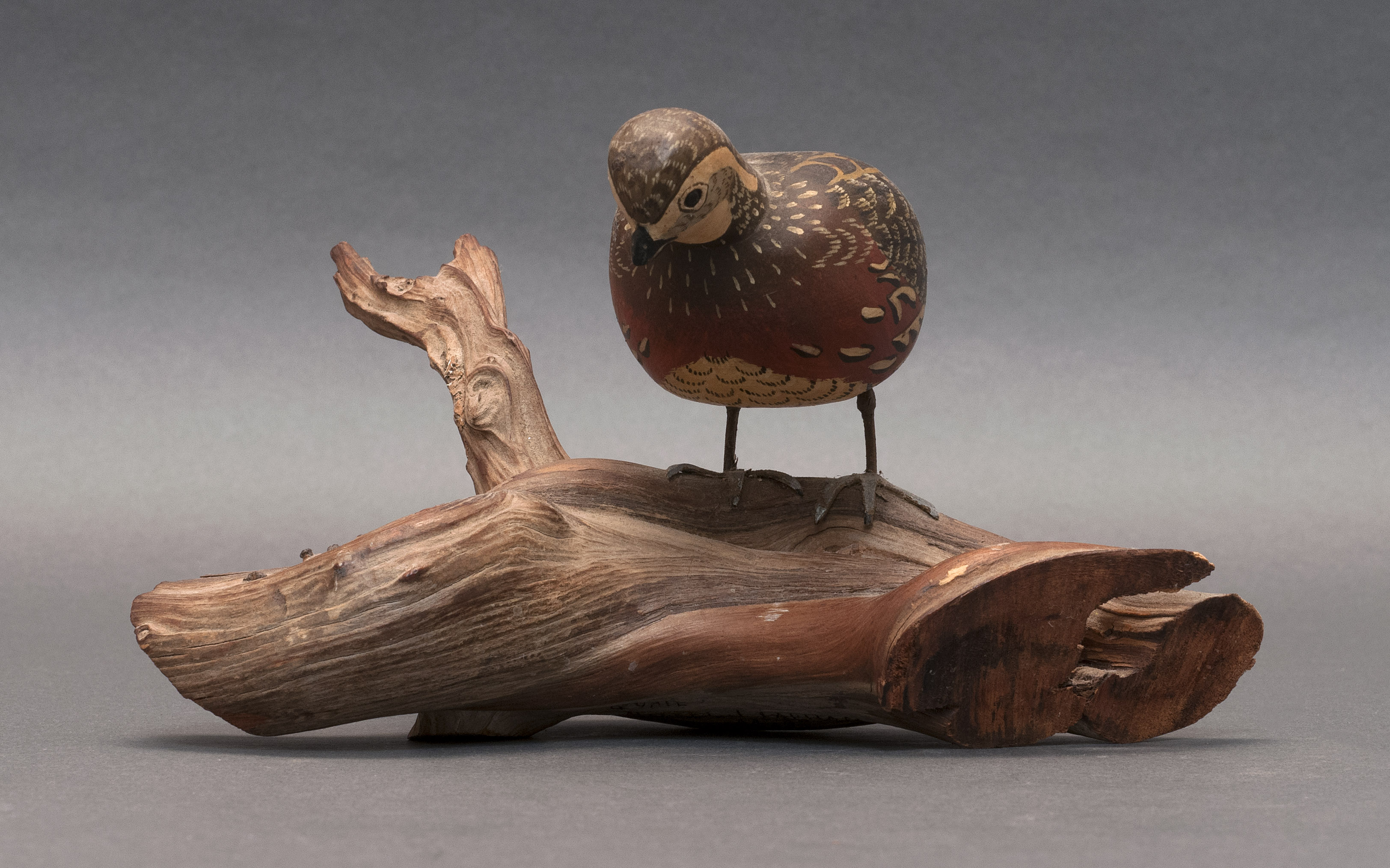 Appraisal: HALF-SIZE BOBWHITE QUAIL th CenturyBy James Lapham of Dennisport Massachusetts