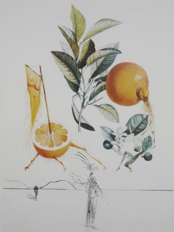 Appraisal: Salvador Dali Spanish - Etching Lithography Grapefruit from FlorDali Les