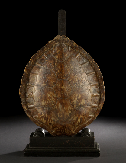 Appraisal: Richly Figured Sea Turtle Carapace fourth quarter th century the