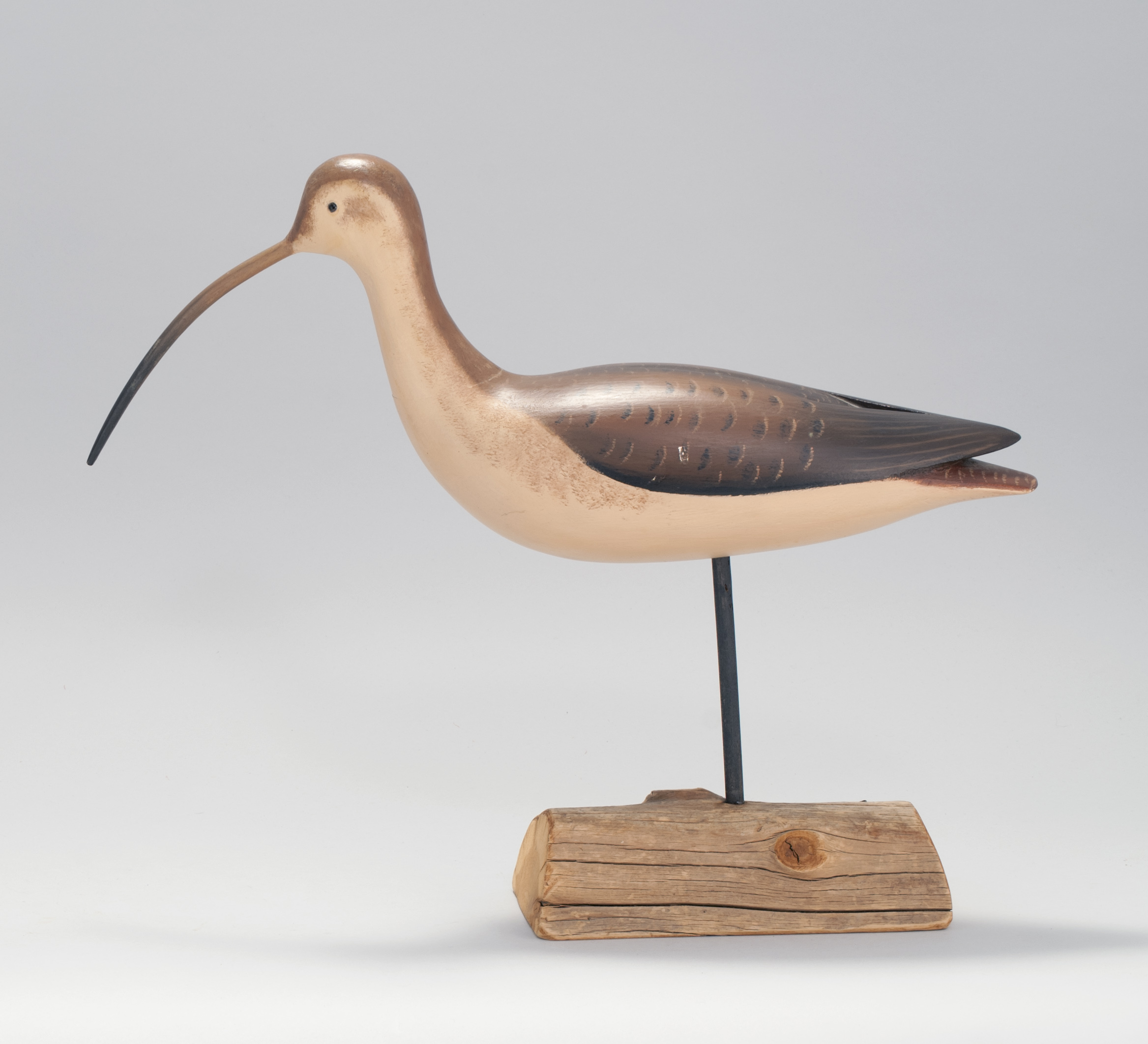 Appraisal: LONG-BILLED CURLEW DECOY th CenturyBy Holdger Smith of Mattapoisett Massachusetts