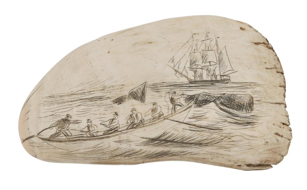 Appraisal: LARGE ENGRAVED WHALE'S TOOTH WITH WHALING SCENE LENGTH LARGE ENGRAVED