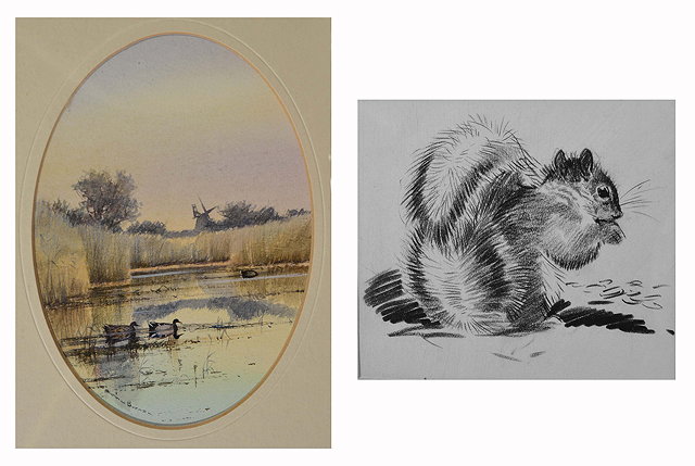 Appraisal: EILEEN A SOPER - A pencil drawing of a squirrel